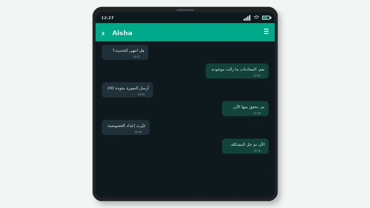 ما الذي يجب التحقق منه — لقطة شاشة 2