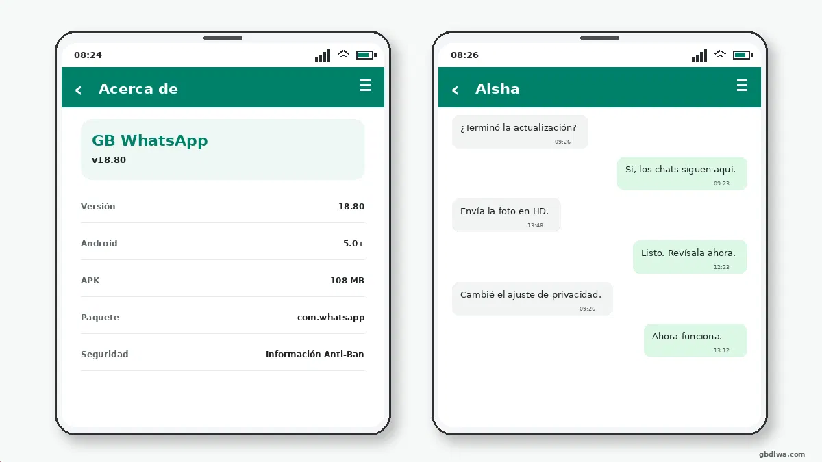 Qué debes comprobar — captura de pantalla 2