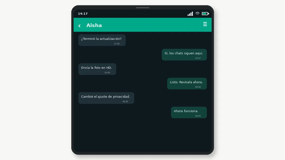 Qué hacer si no funciona — captura de pantalla 3