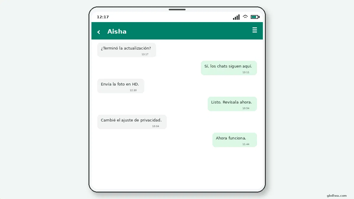 Qué hacer si no funciona — captura de pantalla 3